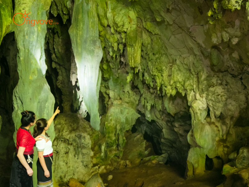 Lợi Ích Khác Khi Thuê Hướng Dẫn Viên Tại Hang Động Thúm Thưa Bảo Yên Lào Cai Cùng Ong Vò Vẽ Travel