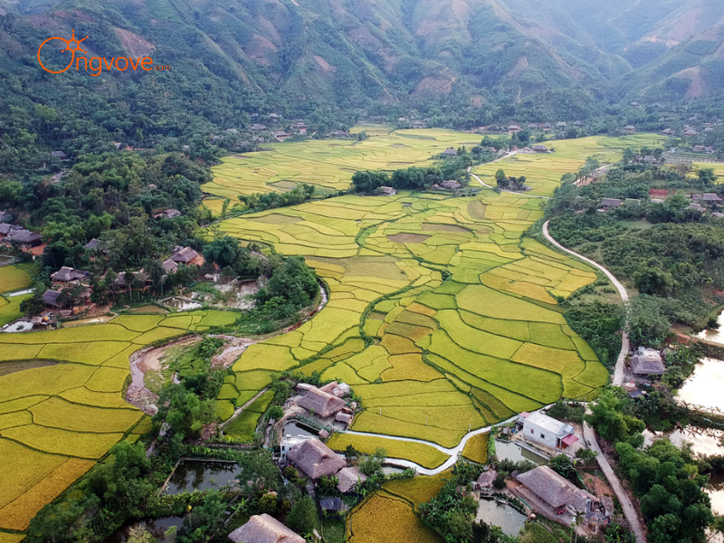 Các Loại Hình Thuê Hướng Dẫn Viên Tại Khu Vực Cọn Nước (Nghĩa Đô) Lào Cai