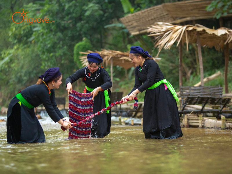 Thuê Hướng Dẫn Viên Đi Các Khu Rừng Tự Nhiên, Đồi Núi Hoang Sơ Bảo Yên Lào Cai