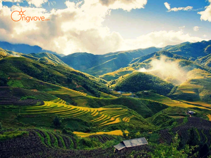 Những Tiêu Chí Cần Lưu Ý Khi Thuê Hướng Dẫn Viên Tại Các Khu Rừng Tự Nhiên, Đồi Núi Hoang Sơ Bảo Yên Lào Cai