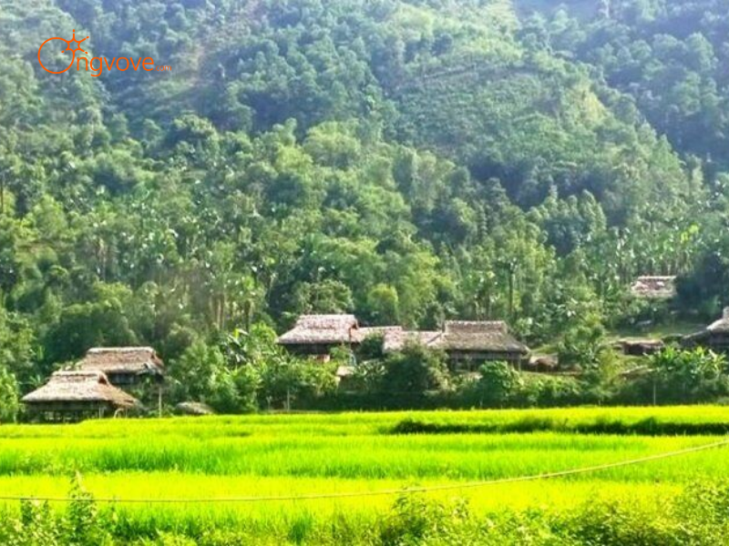 Những Tiêu Chí Cần Lưu Ý Khi Thuê Hướng Dẫn Viên Tại Khu Vực Cọn Nước (Nghĩa Đô) Lào Cai