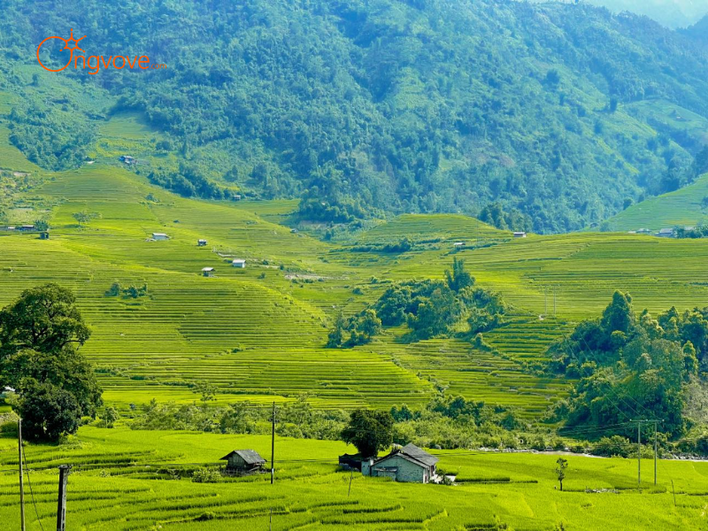 Tại Sao Cần Thuê Hướng Dẫn Viên Tại Các Khu Rừng Tự Nhiên, Đồi Núi Hoang Sơ Bảo Yên Lào Cai?
