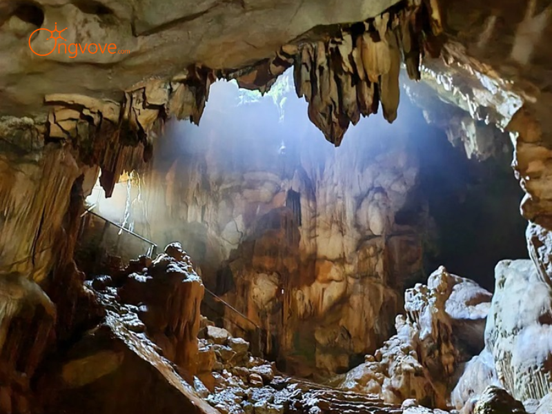 Lợi Ích Khác Khi Thuê Hướng Dẫn Viên Tại Hang Động Thúm Thưa Bảo Yên Lào Cai Cùng Ong Vò Vẽ Travel