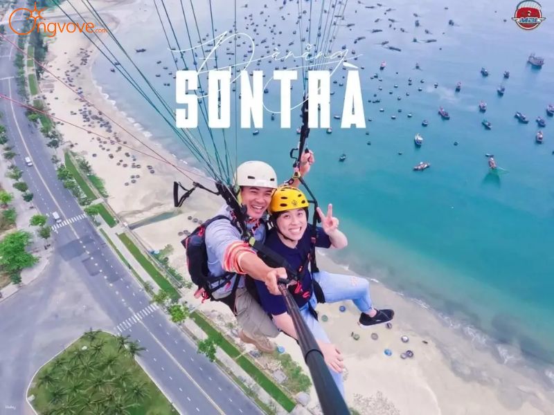 Tại Sao Tour Du Lịch 1 Ngày Tại Đà Nẵng Của Ong Vò Vẽ Lại "Hot Hit" Đến Vậy?