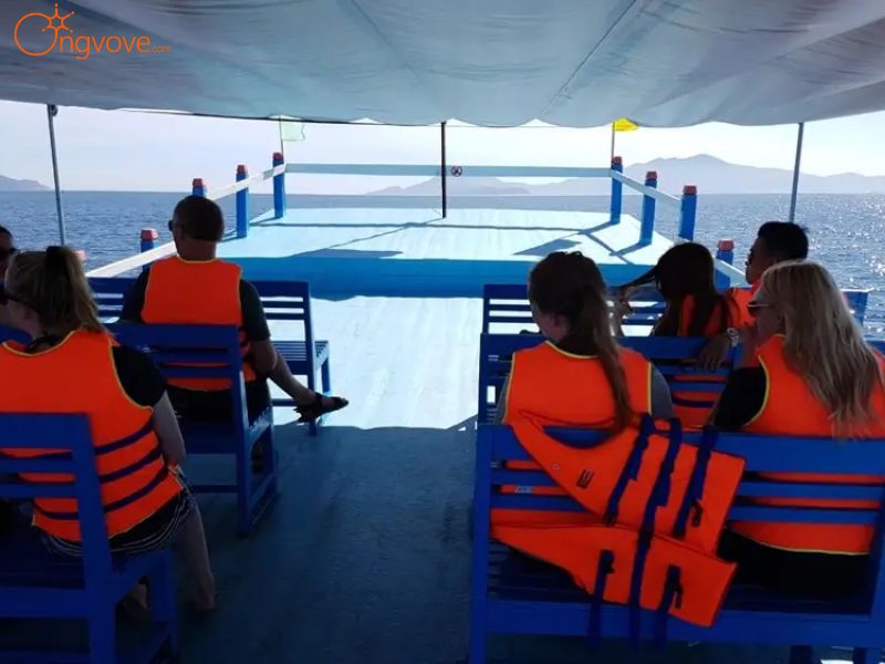 "Bóc Tách" Chi Phí Tour 1 Ngày Đà Nẵng: "Giá Mềm, Chất Lượng Đỉnh"